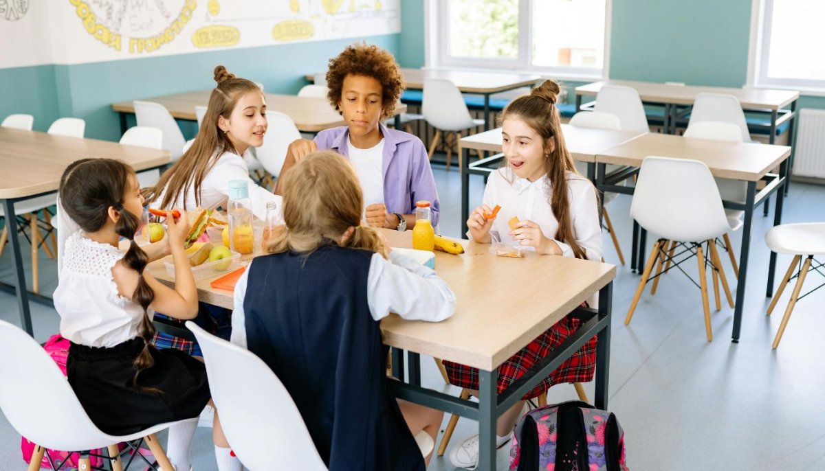 Wheaton IL school districts